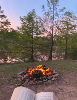 From the Editor’s Desk